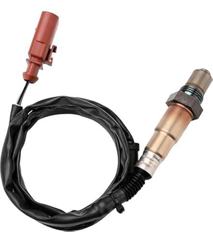 Qooさん専用 KOOKY ZOO (クーキー ズー)